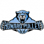 Howard Pulley 16U 