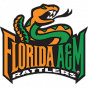 Florida A&M NCAA D-I